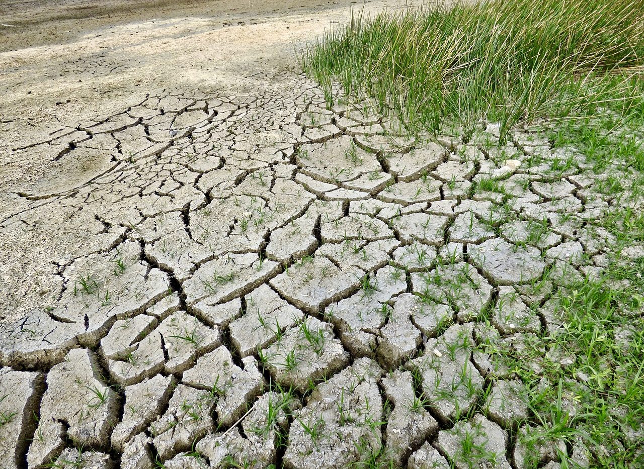 Cambio climático