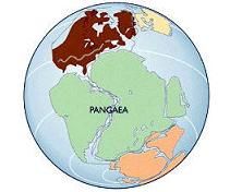 Pangea Pangea