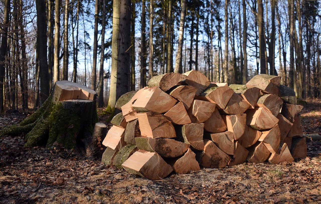 Deforestación