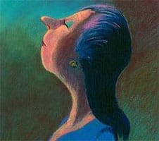 Definición de arrogancia qué es, significado y concepto Indkørsel inspiration