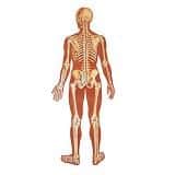 Posterior Posterior