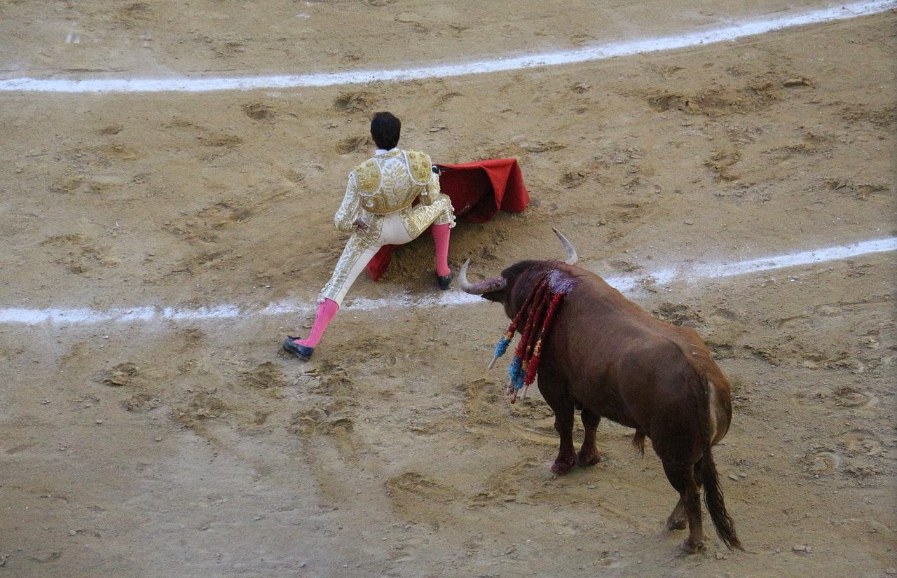 Tauromaquia