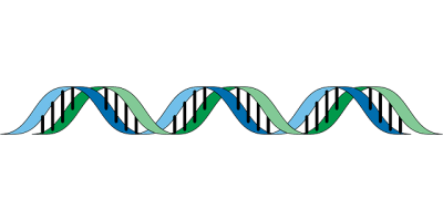 Predisposición Qué es, definición y concepto