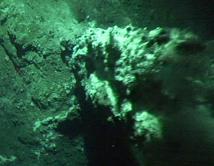 Quimiosíntesis
