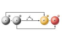 Redox