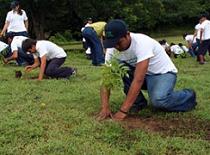 Reforestación