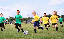 Actividades deportivas