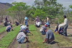 Agroexportador