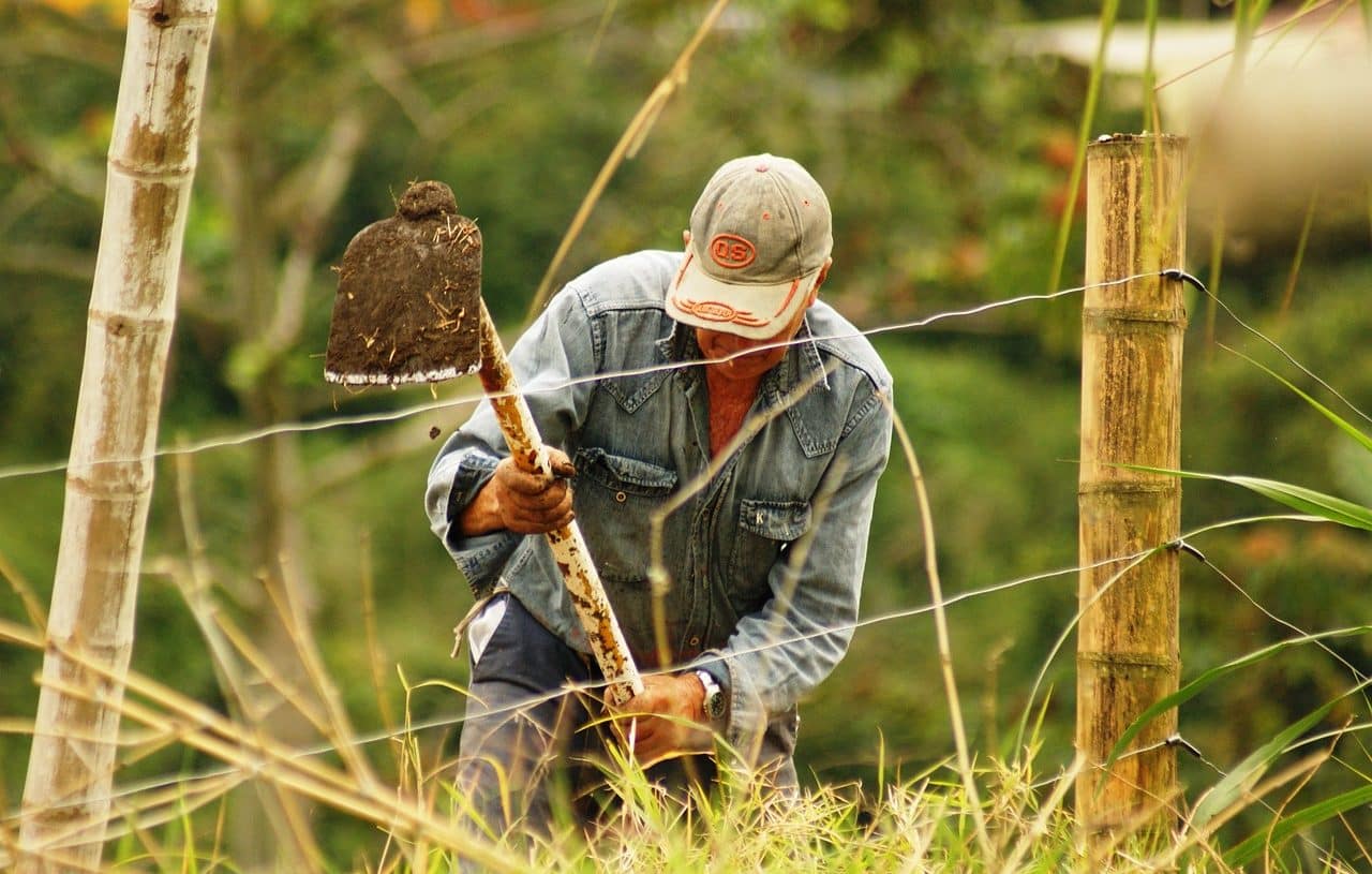 Trabajador rural