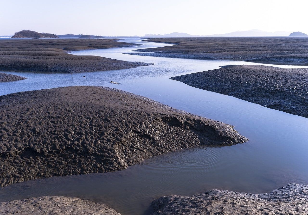 Pantanal