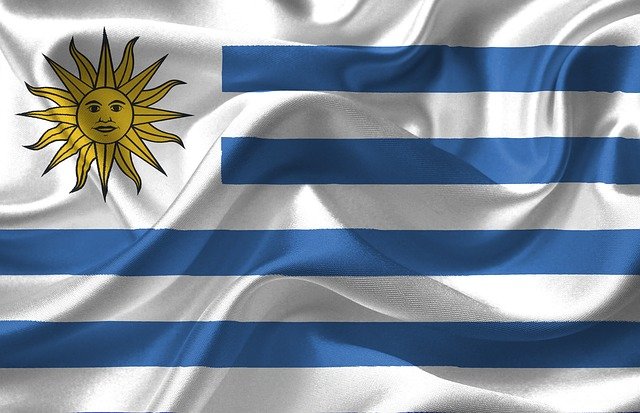 Bandera uruguaya