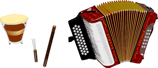 Puya instrumentos vallenato