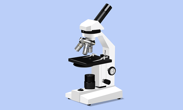 Protozoología microscopio