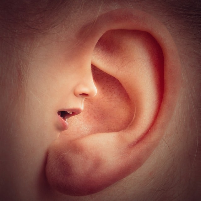 Verborrea boca oreja