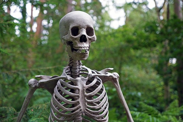 Esqueleto humano en el bosque
