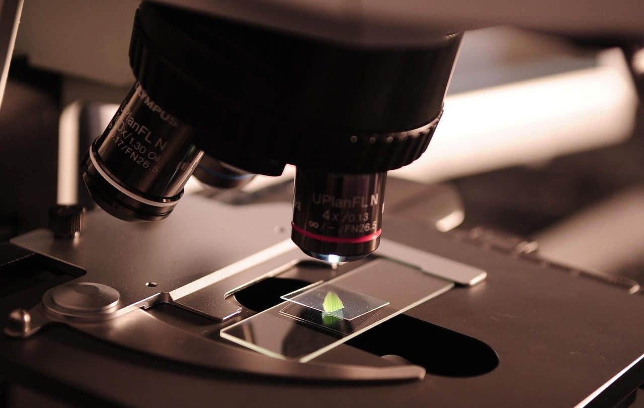 Investigación