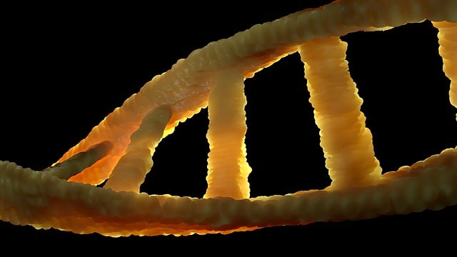Biocompuesto ADN