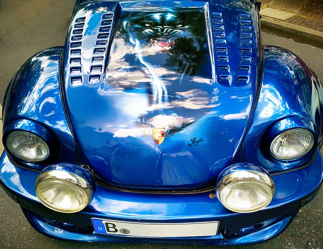 Puma pintado sobre coche azul