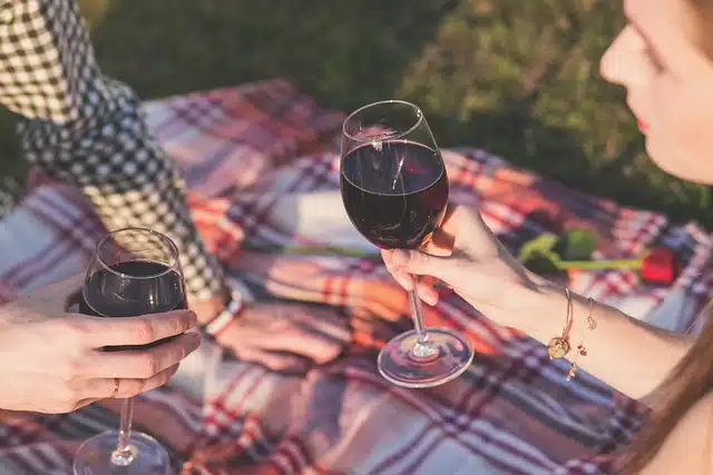 Dos personas en un picnic bebiendo alcohol