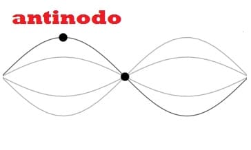 Antinodo