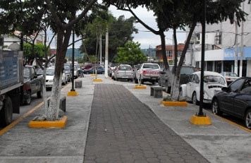 Camellón