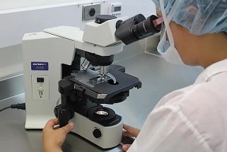 Citoquímica