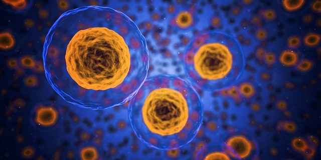 Acuaporina células