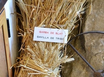 Gavilla