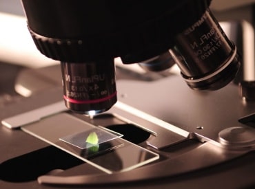 Microestructura