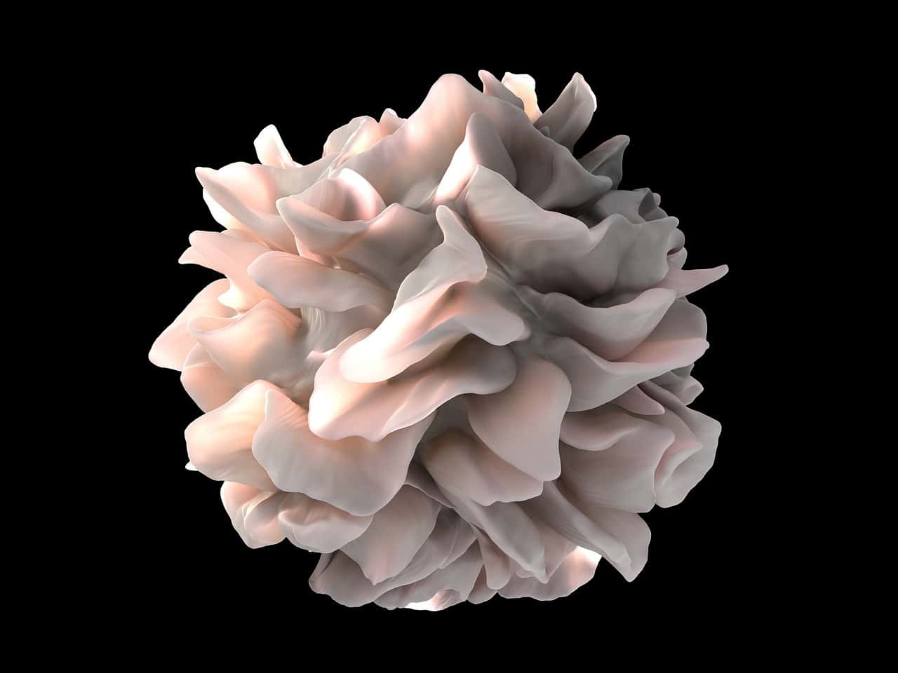 Microfotografía de una célula dendrítica