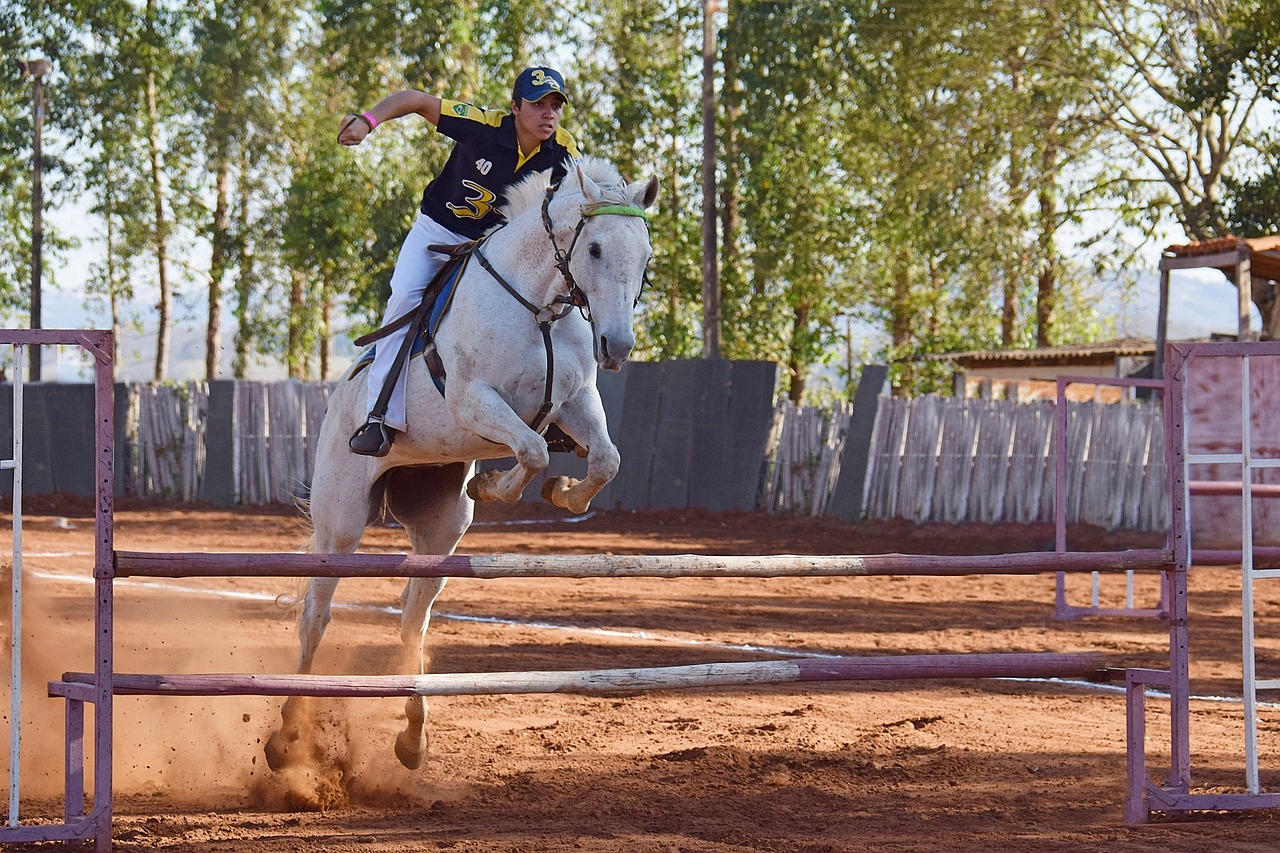 Jinete y caballo saltando sobre barra