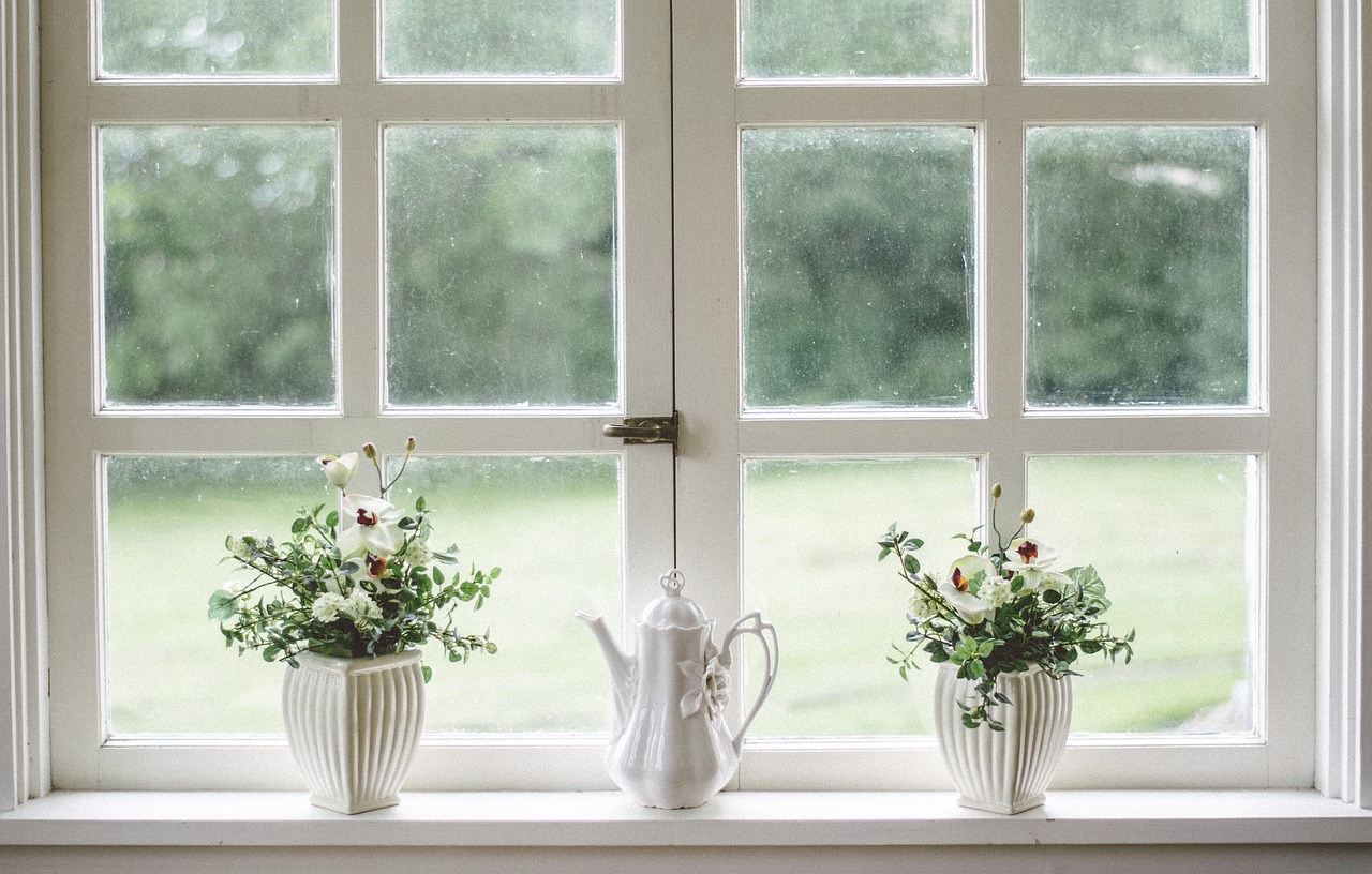 Plantas y jarrón frente a la ventana