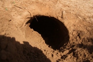 Buraco