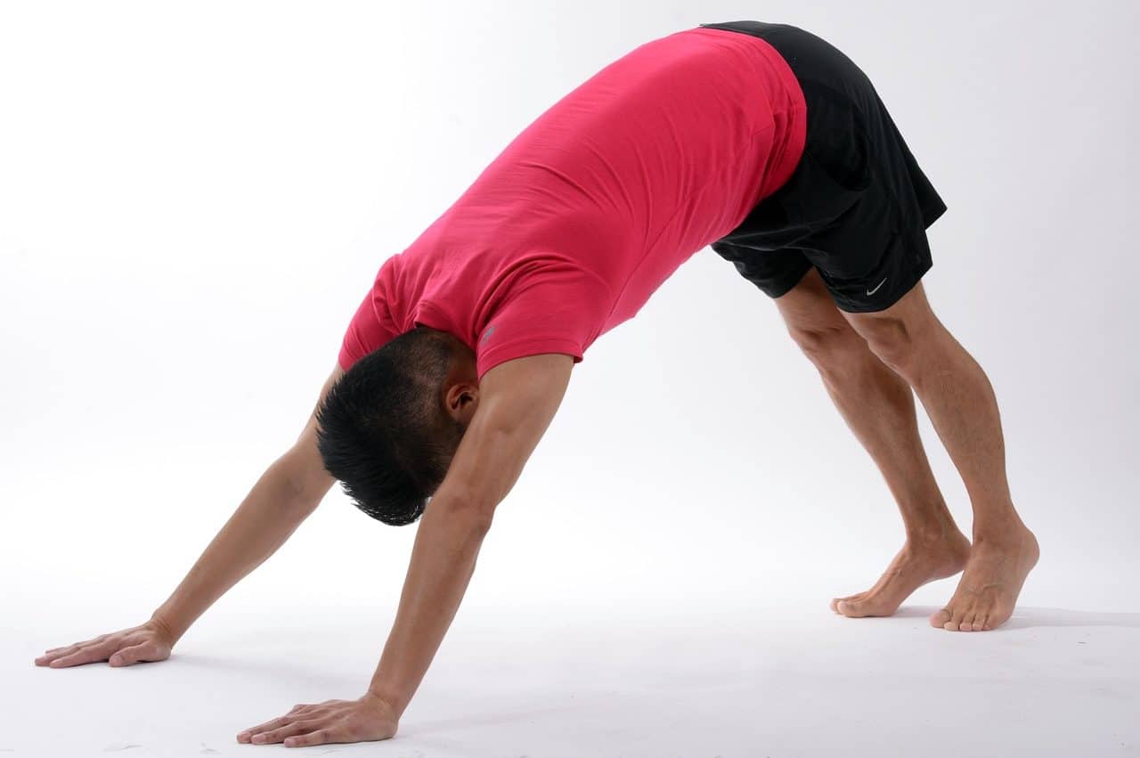 Elongación