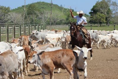 Ambito Rural Población rural - Qué es, características, definición y concepto