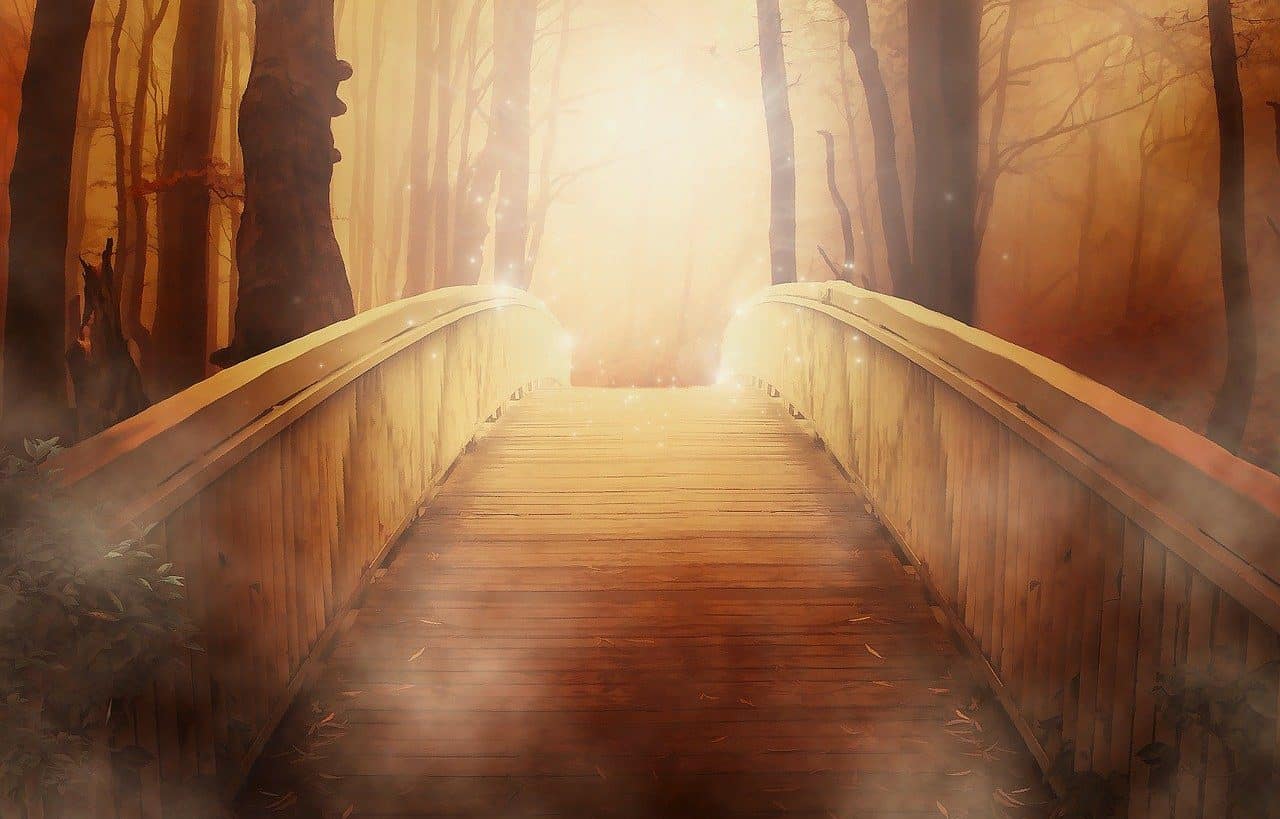Puente en un bosque con luz cálida
