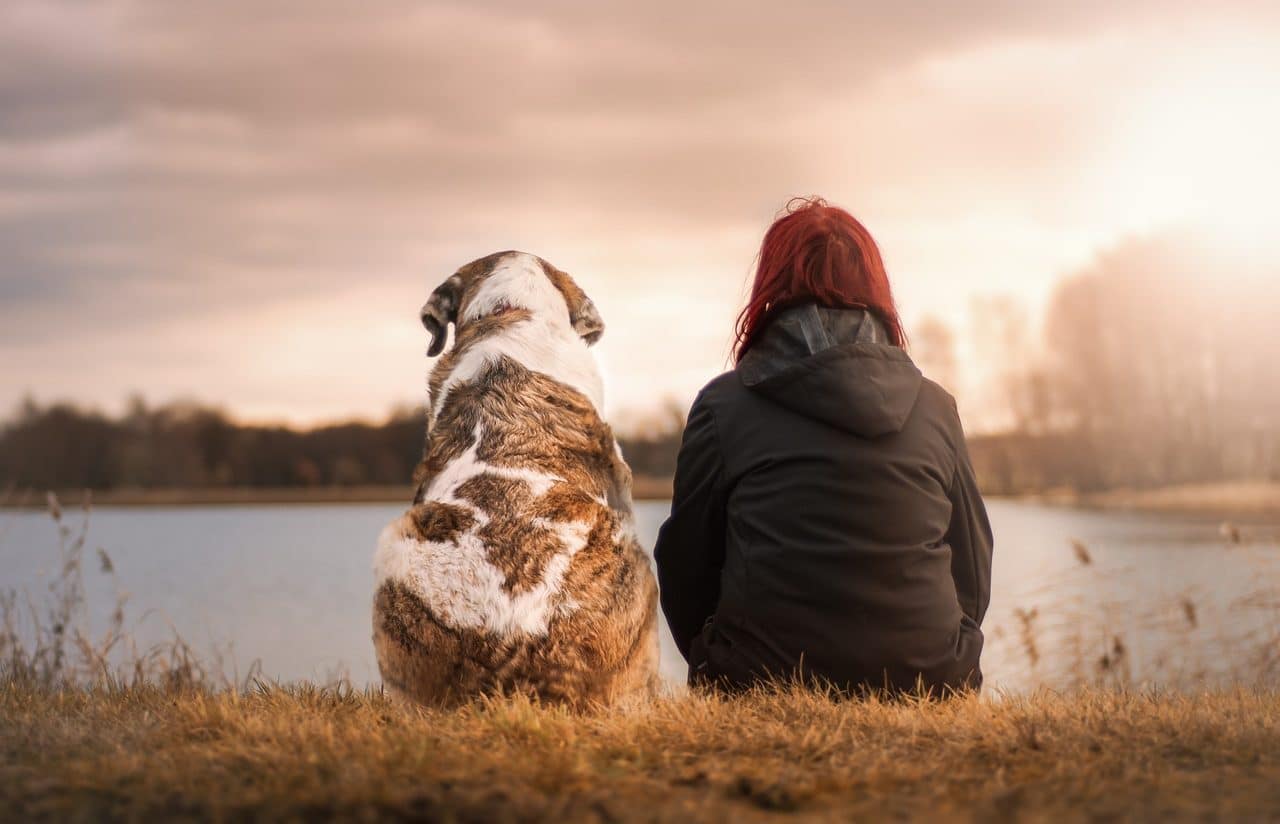 Un perro y una mujer sentados mirando el paisaje frente a un lago