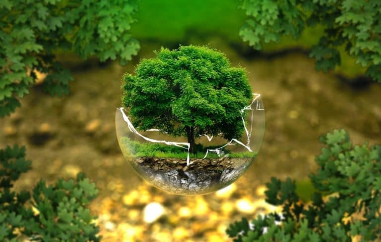 Protección del medio ambiente - Qué es, causas, definición y concepto