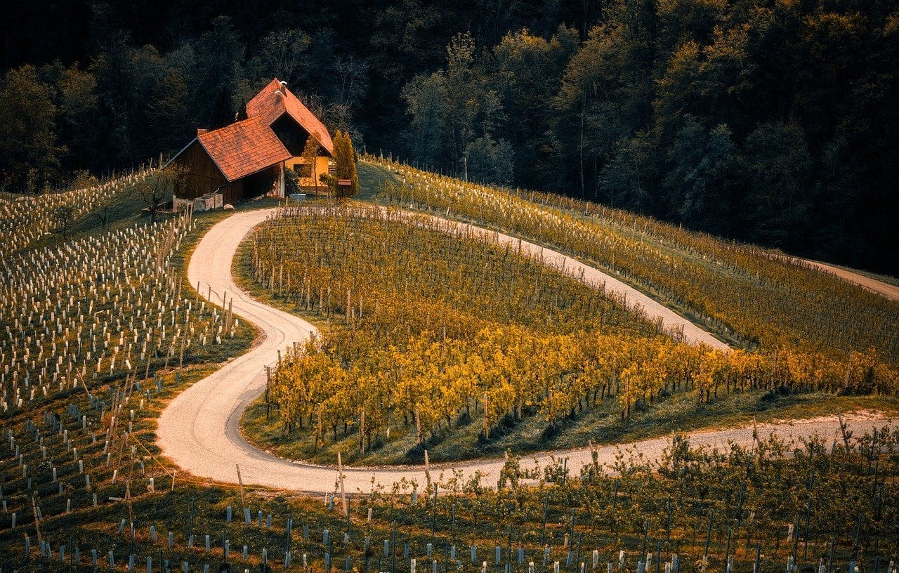 Campo dedicado a la agricultura con un camino que traza la forma de un corazón