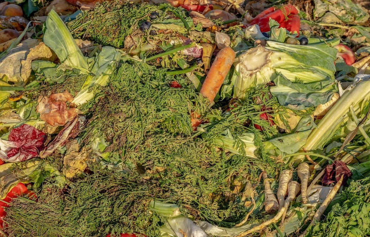 Verduras en mal estado