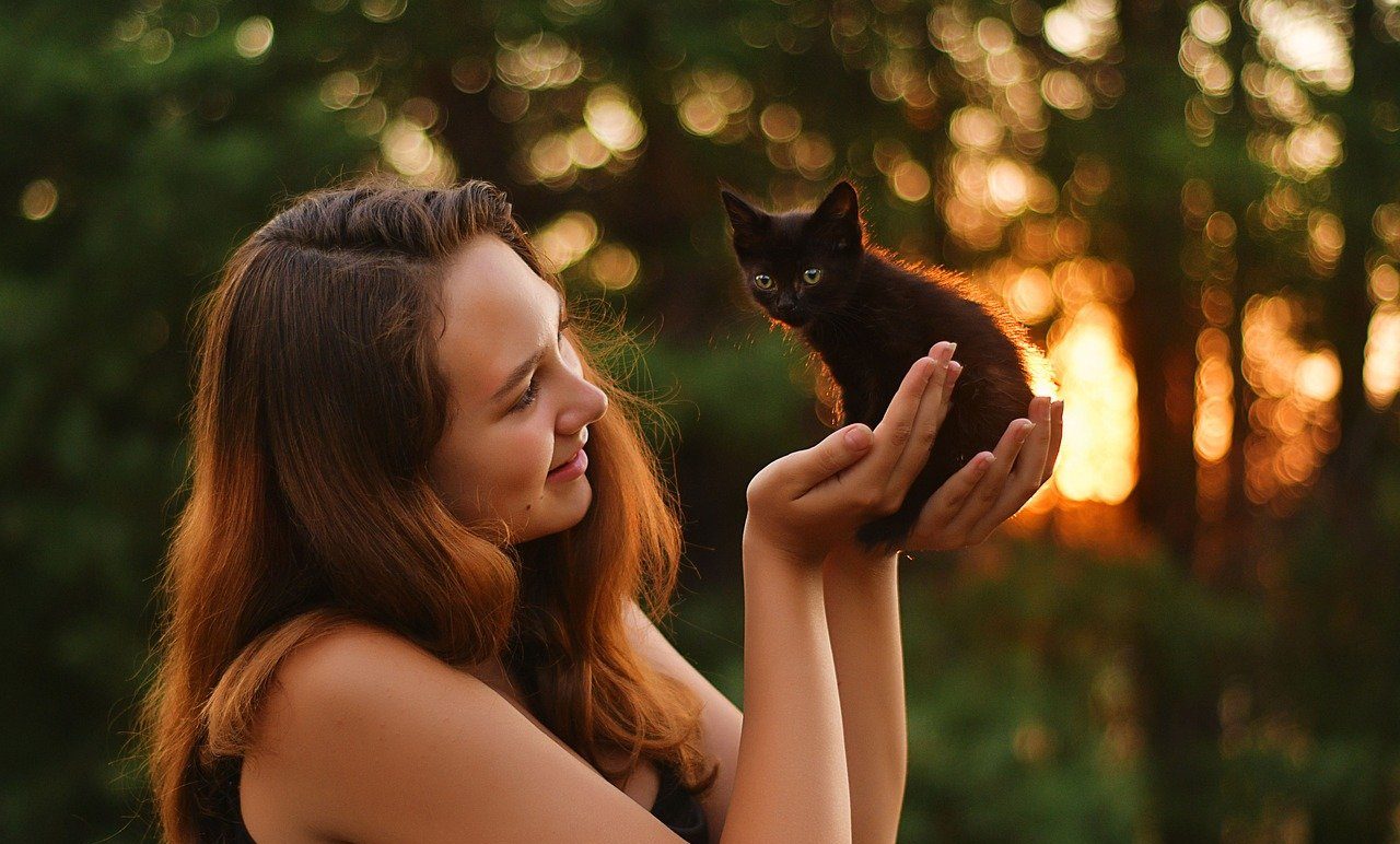 Mujer sosteniendo a un gatito negro con sus manos