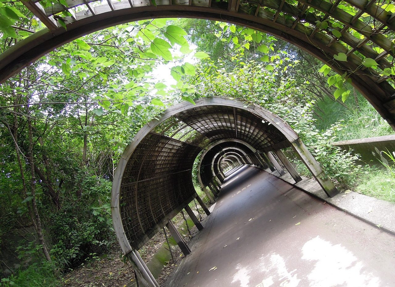 Corredores de conservación