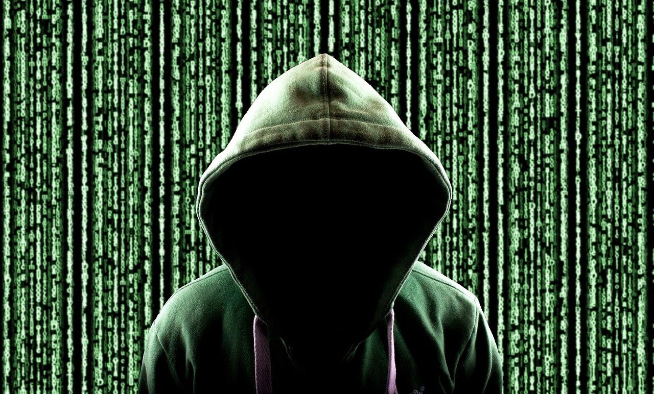 Hacker activista