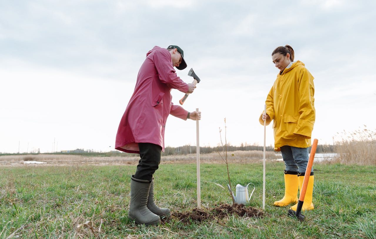 Mujer y hombre plantando un árbol