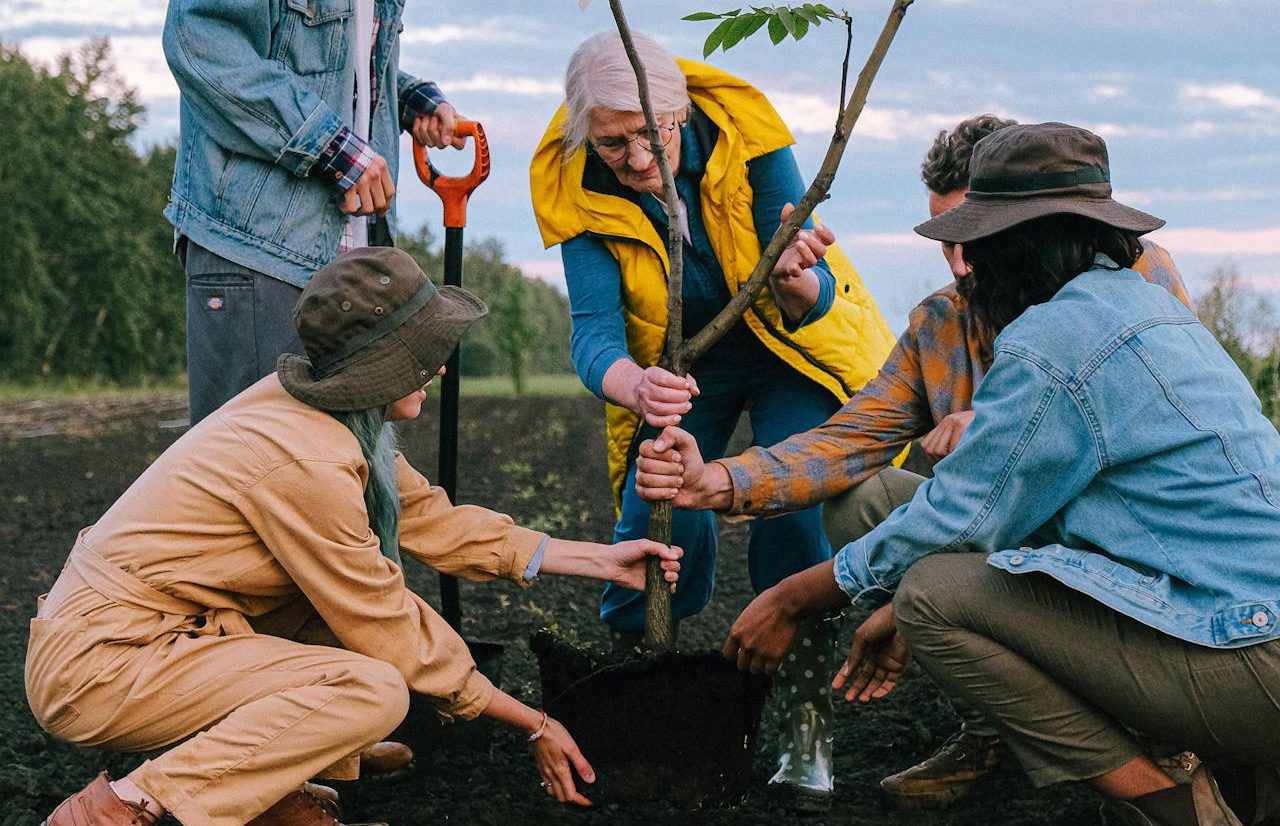 Cinco personas de diferentes edades plantando un árbol