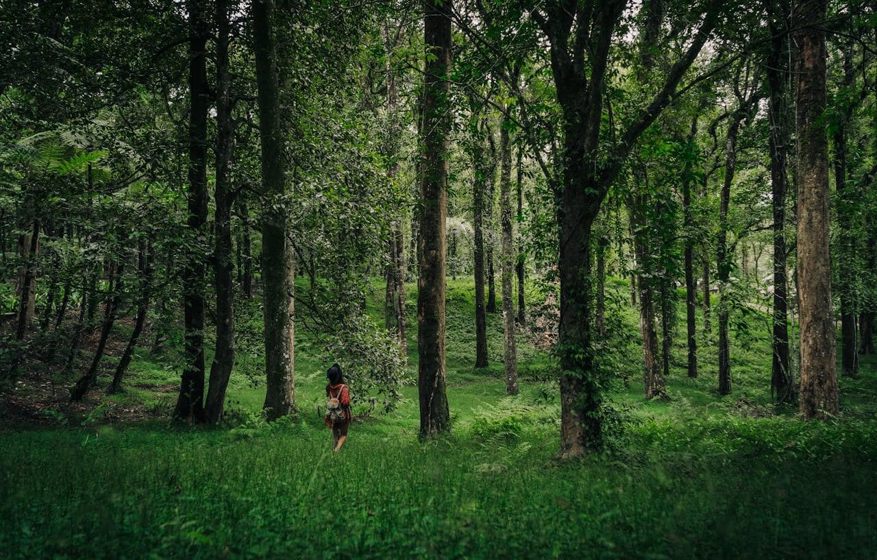 Mujer joven en el bosque