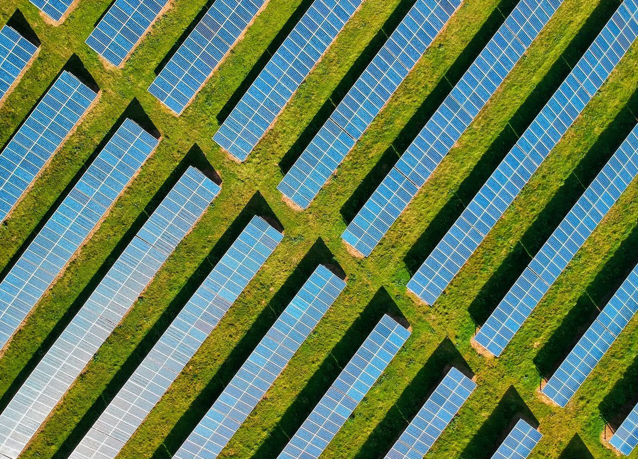 Paneles solares en campo