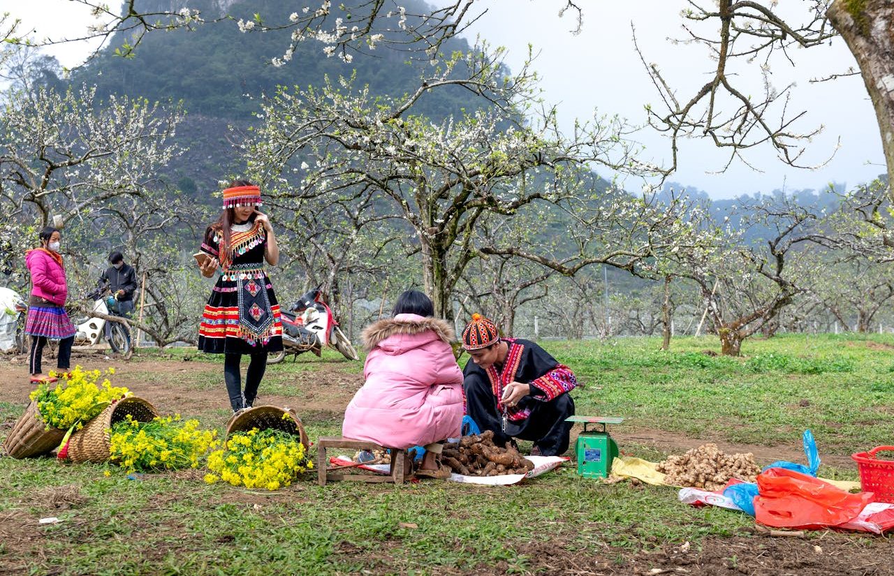 Personas trabajando en un huerto comunitario