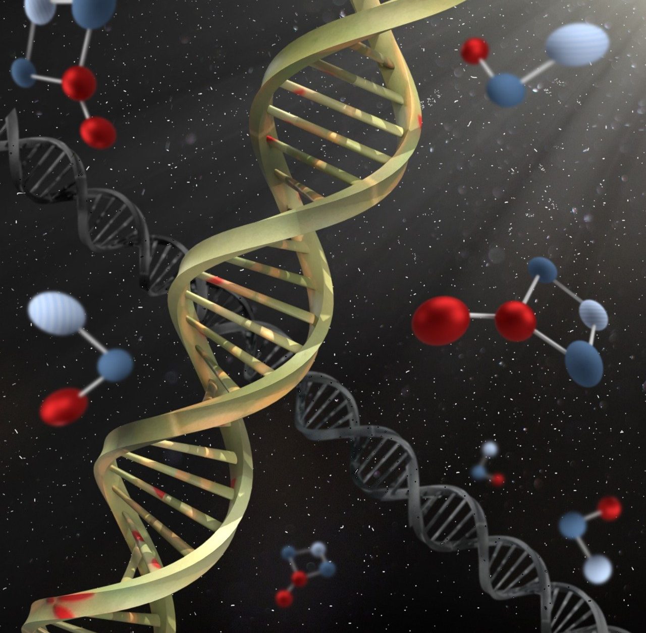 Procesos vinculados al ADN