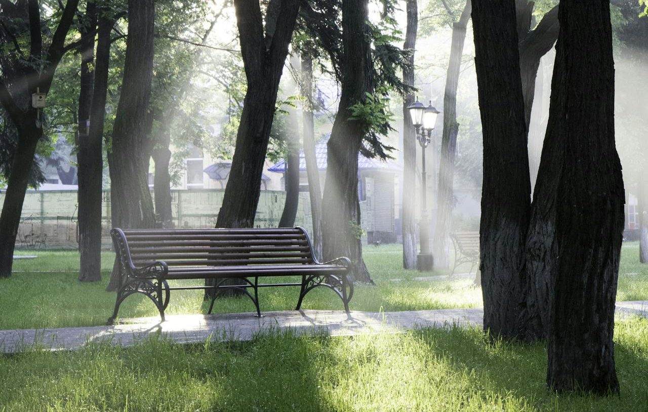 Parque con banco. Rayos de sol a través de los árboles